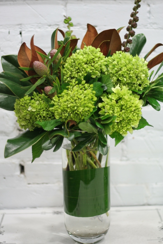 Green hydrangea with the striking magnolia leaves.
